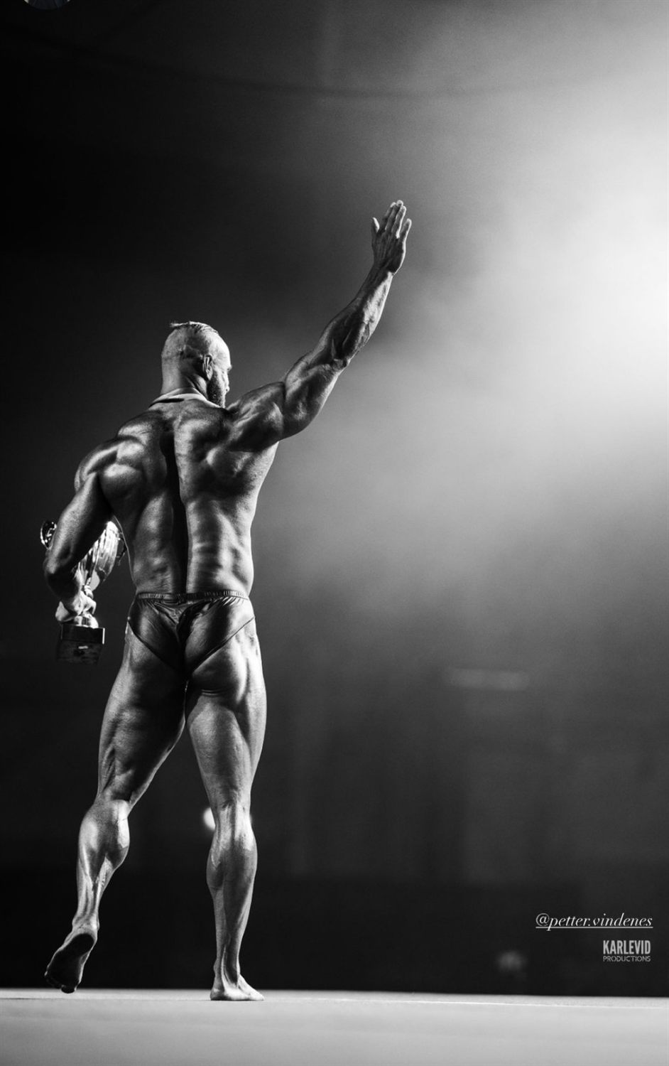 Nordic 2024 premie